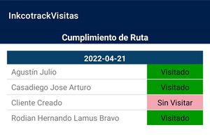 Consulta Visitas
